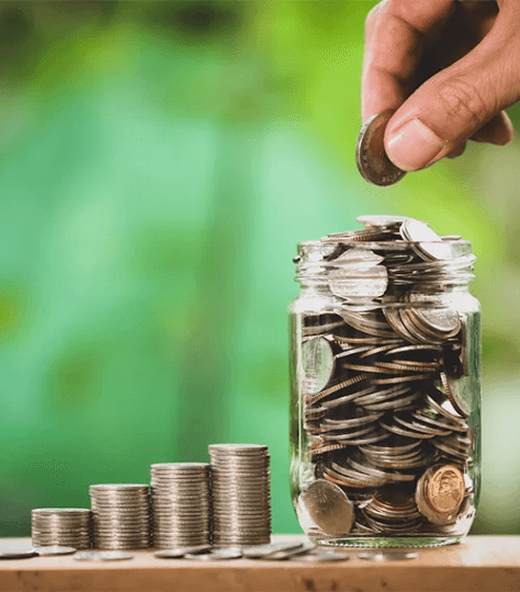 Plant growing in coin jar